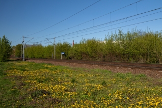 Zielone Radomsko