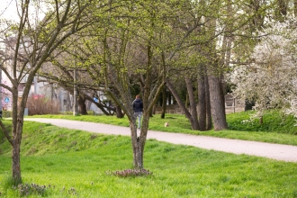 Zielone Radomsko