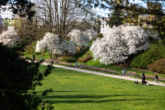 Zielone Radomsko