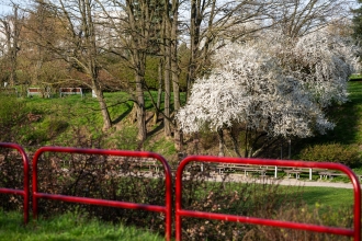 Zielone Radomsko