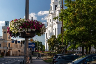 Zielone Radomsko