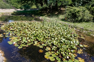 Zielone Radomsko