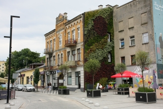 Zielone Radomsko